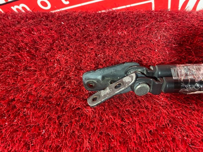 Амортизатор багажника, 2400 рублей, Солонцы