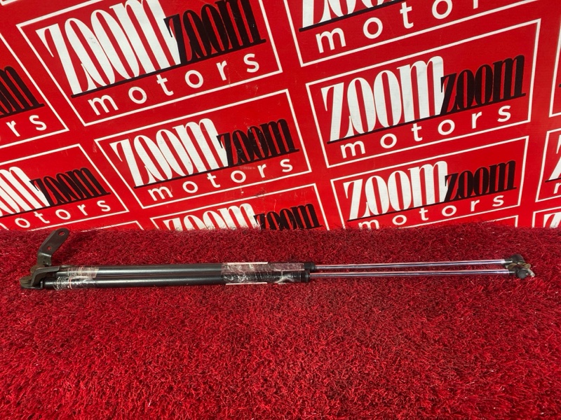 Амортизатор багажника, 3400 рублей, Солонцы