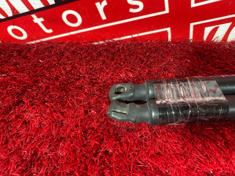 Амортизатор багажника, 800 рублей, Солонцы