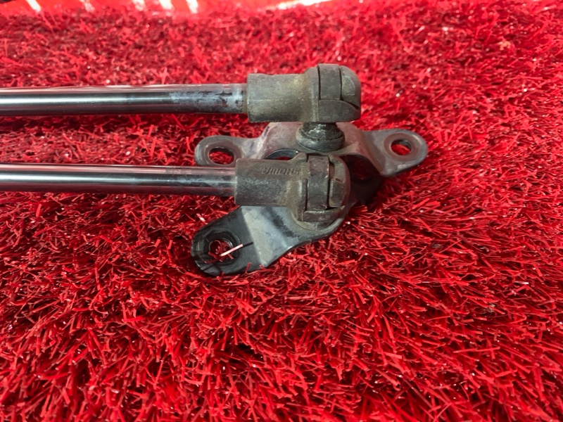 Амортизатор багажника, 600 рублей, Солонцы