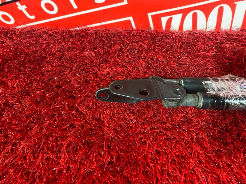 Амортизатор багажника, 2400 рублей, Солонцы