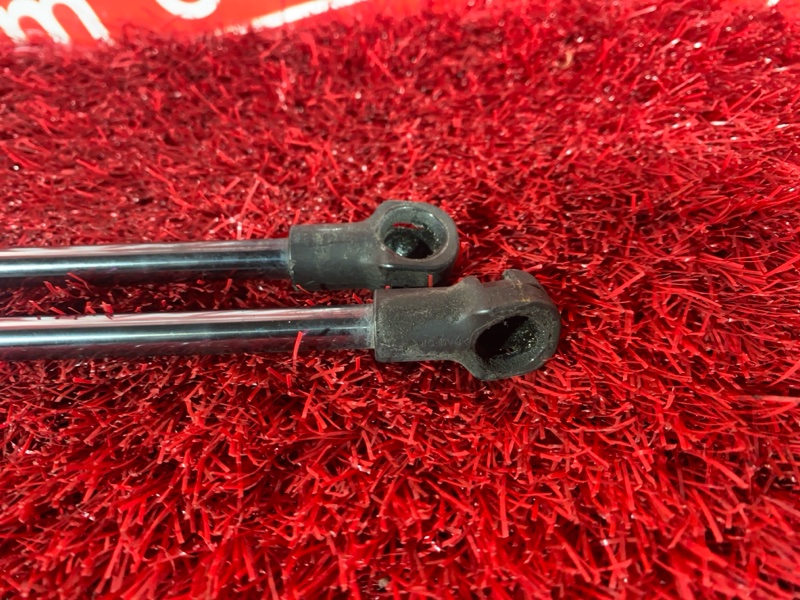 Амортизатор багажника, 2400 рублей, Солонцы