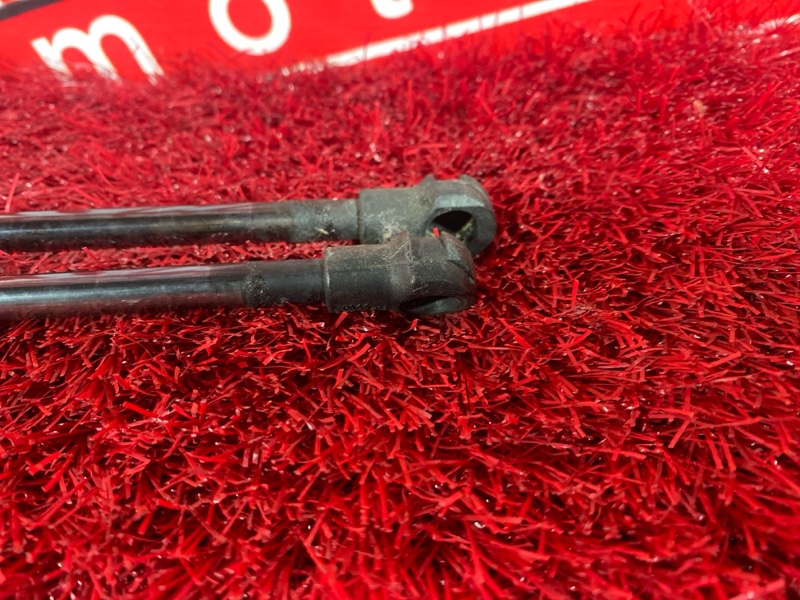 Амортизатор багажника, 1900 рублей, Солонцы