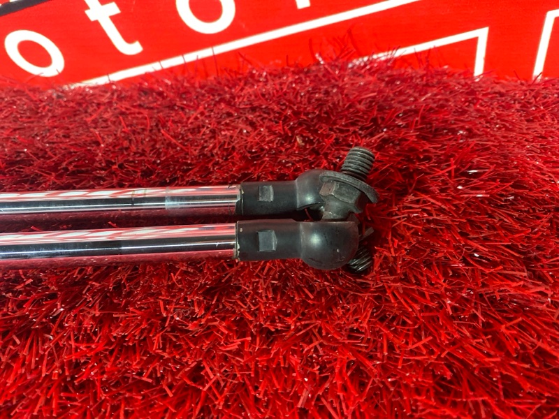 Амортизатор багажника, 500 рублей, Солонцы