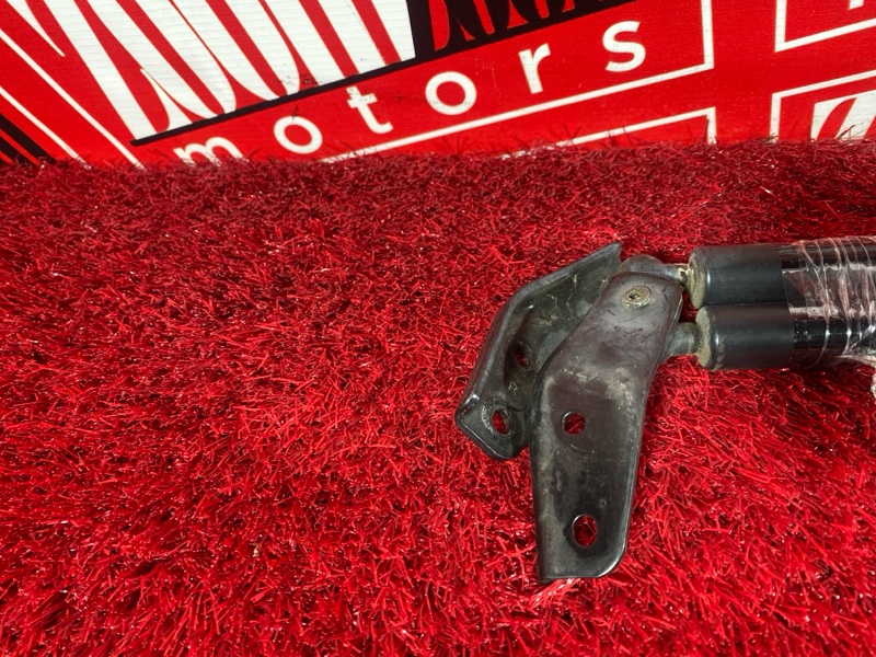 Амортизатор багажника, 500 рублей, Солонцы