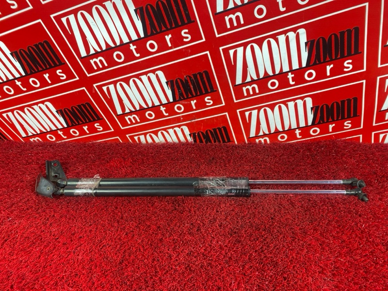 Амортизатор багажника, 500 рублей, Солонцы