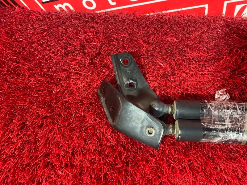 Амортизатор багажника, 500 рублей, Солонцы