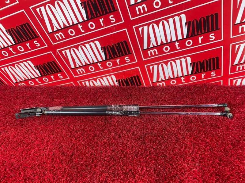 Амортизатор багажника, 400 рублей, Солонцы