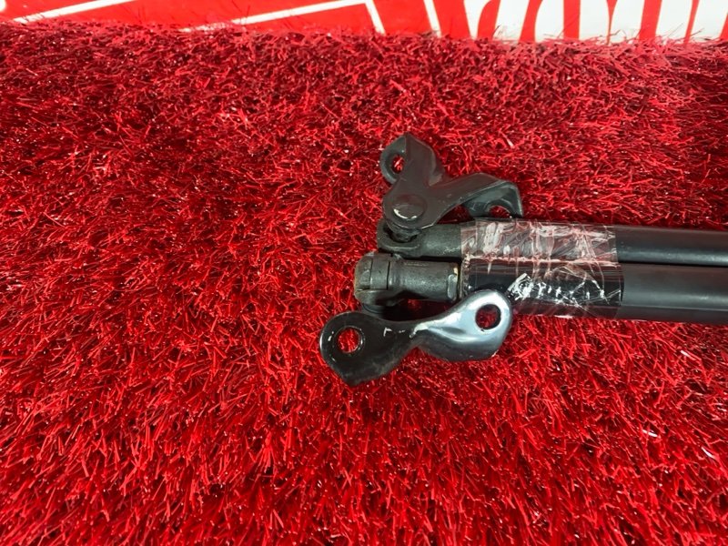 Амортизатор багажника, 600 рублей, Солонцы