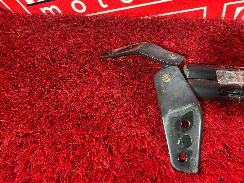 Амортизатор багажника, 500 рублей, Солонцы