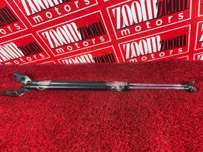 Амортизатор багажника, 500 рублей, Солонцы