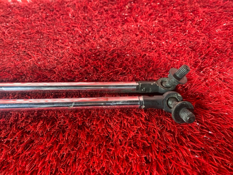 Амортизатор багажника, 500 рублей, Солонцы