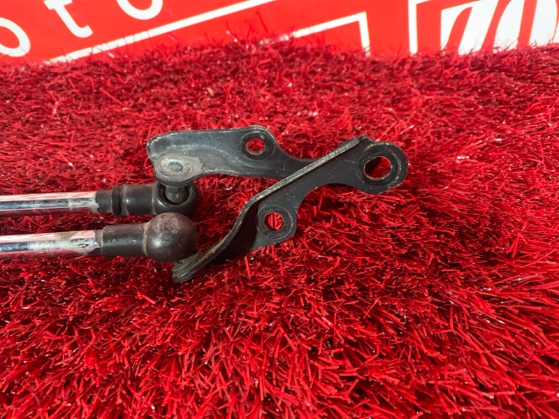 Амортизатор багажника, 1500 рублей, Солонцы