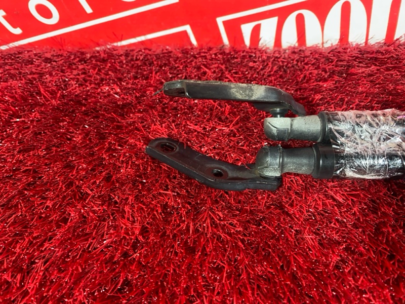 Амортизатор багажника, 1500 рублей, Солонцы