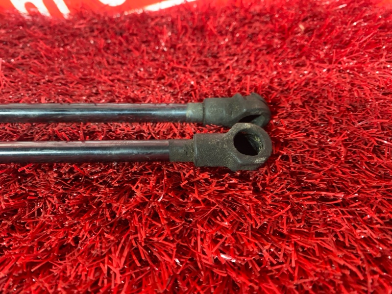 Амортизатор багажника, 1500 рублей, Солонцы