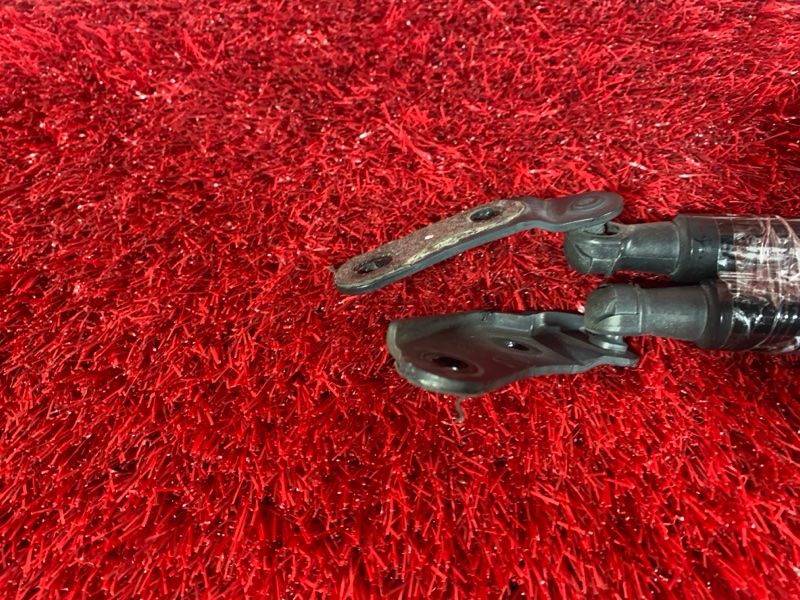 Амортизатор багажника, 1500 рублей, Солонцы