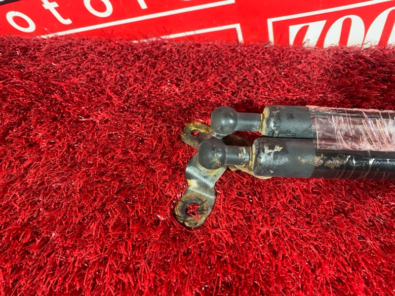 Амортизатор багажника, 600 рублей, Солонцы