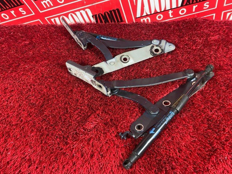 Амортизатор багажника, 1000 рублей, Солонцы