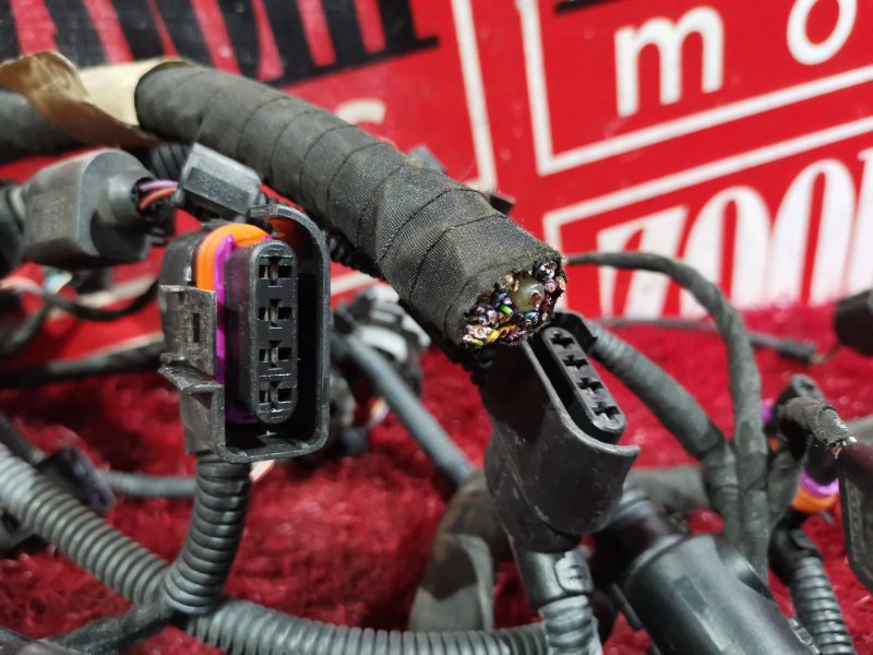 Электропроводка, 3300 рублей, Солонцы