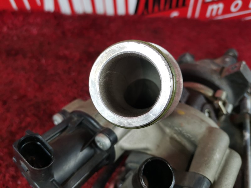 Турбина, 13600 рублей, Солонцы