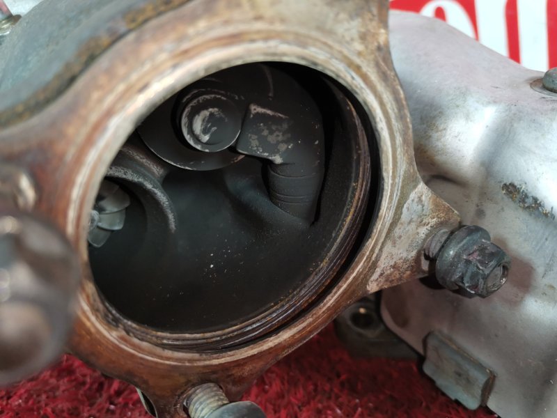 Турбина, 13600 рублей, Солонцы