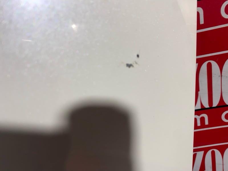 Крыло, 13300 рублей, Солонцы