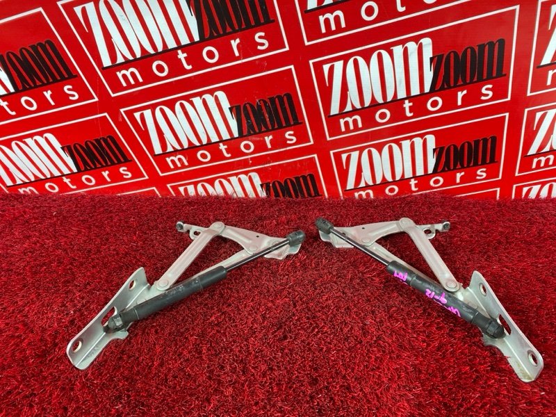 Амортизатор багажника, 1900 рублей, Солонцы