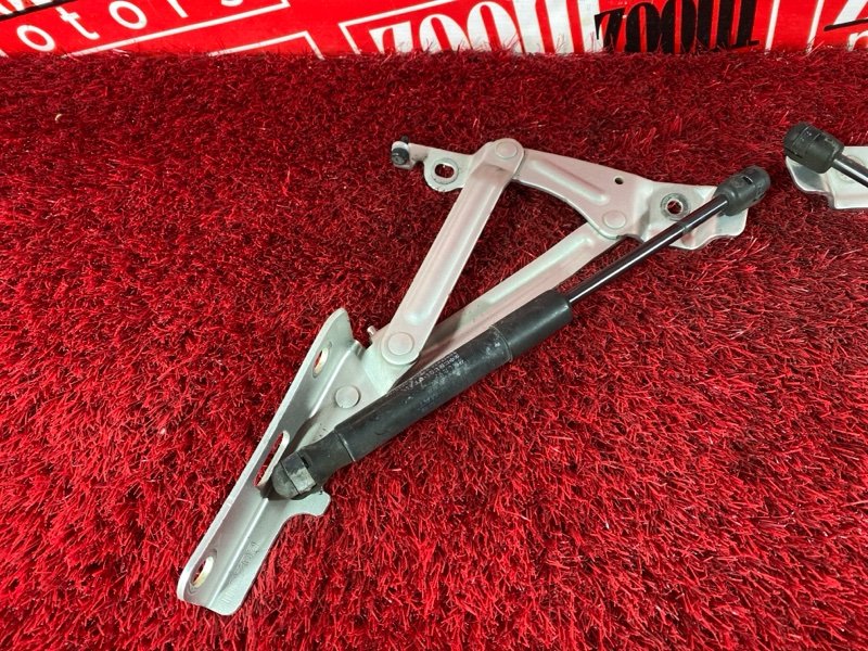 Амортизатор багажника, 1900 рублей, Солонцы