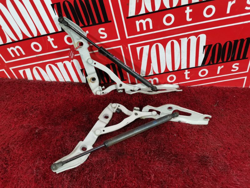 Петля крышки багажника, 600 рублей, Солонцы