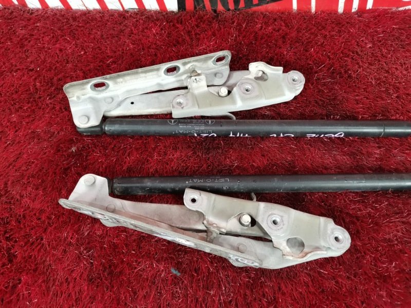 Петля (Шарнир капота), 1500 рублей, Солонцы