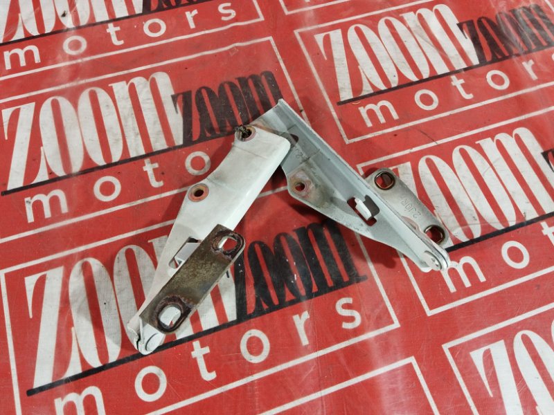 Петля (Шарнир капота), 500 рублей, Солонцы