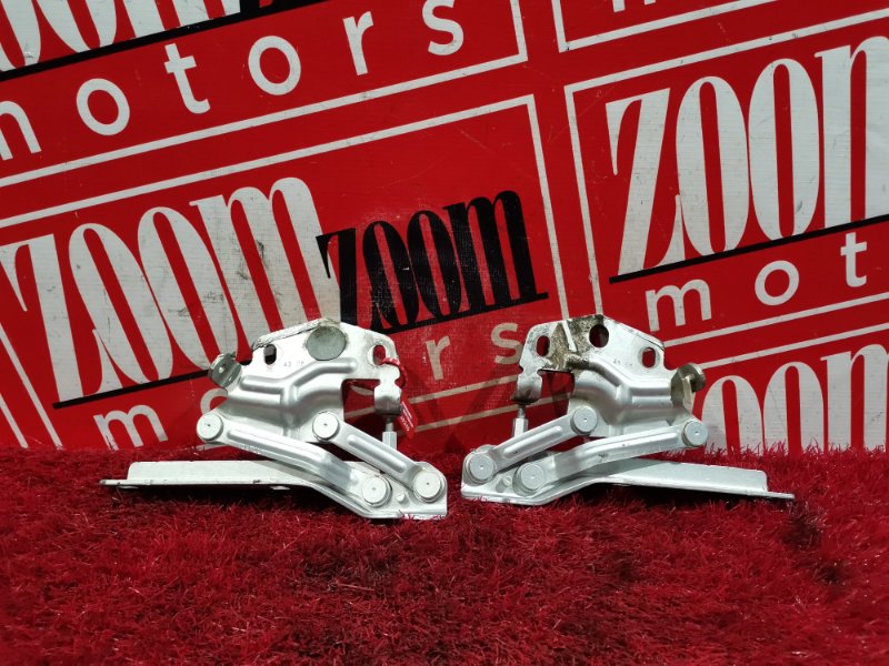 Петля (Шарнир капота), 1300 рублей, Солонцы