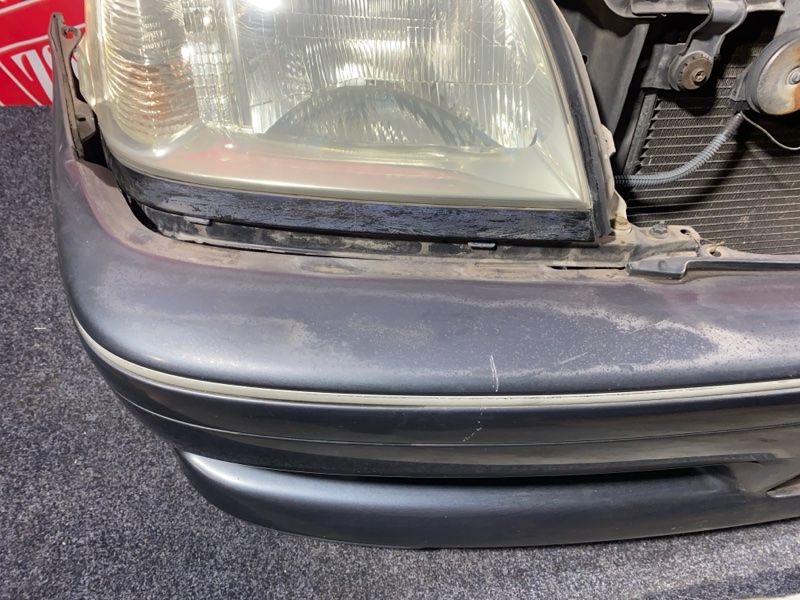 Nose cut, 56100 рублей, Солонцы