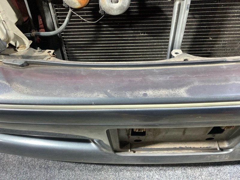 Nose cut, 56100 рублей, Солонцы