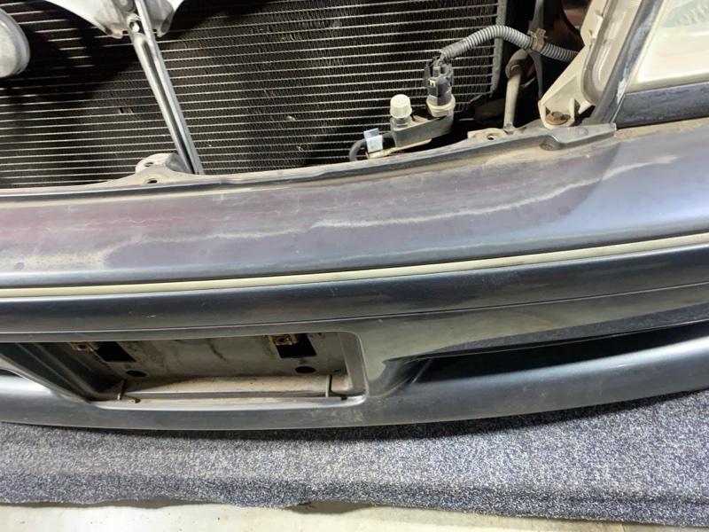 Nose cut, 56100 рублей, Солонцы