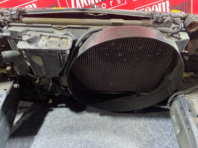 Nose cut, 56100 рублей, Солонцы