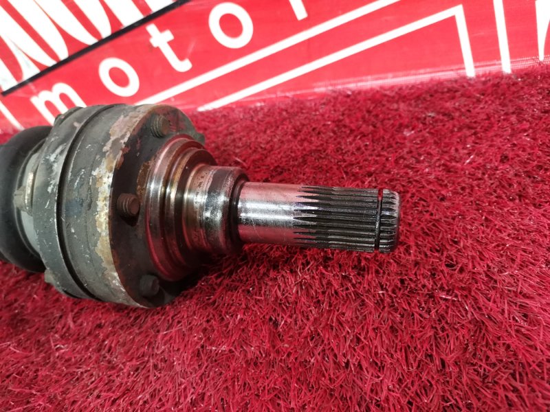 Привод, 2300 рублей, Солонцы