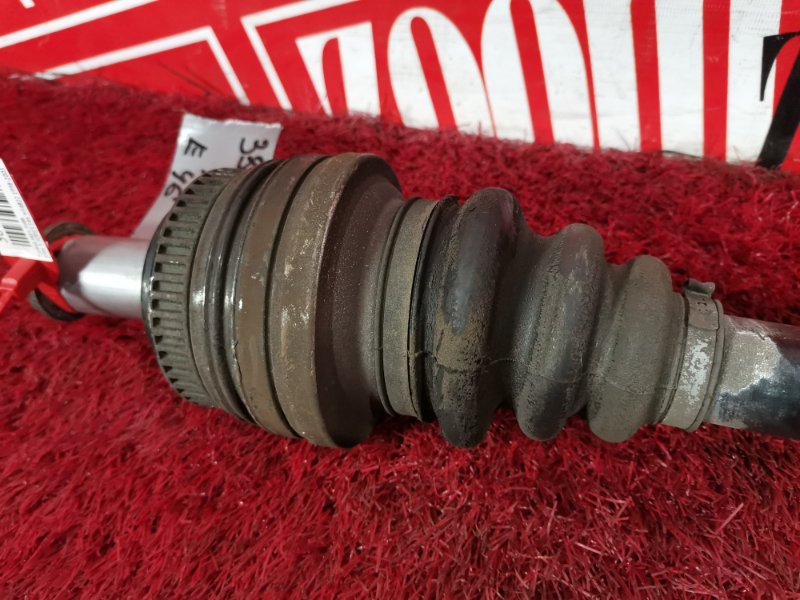 Привод, 2300 рублей, Солонцы