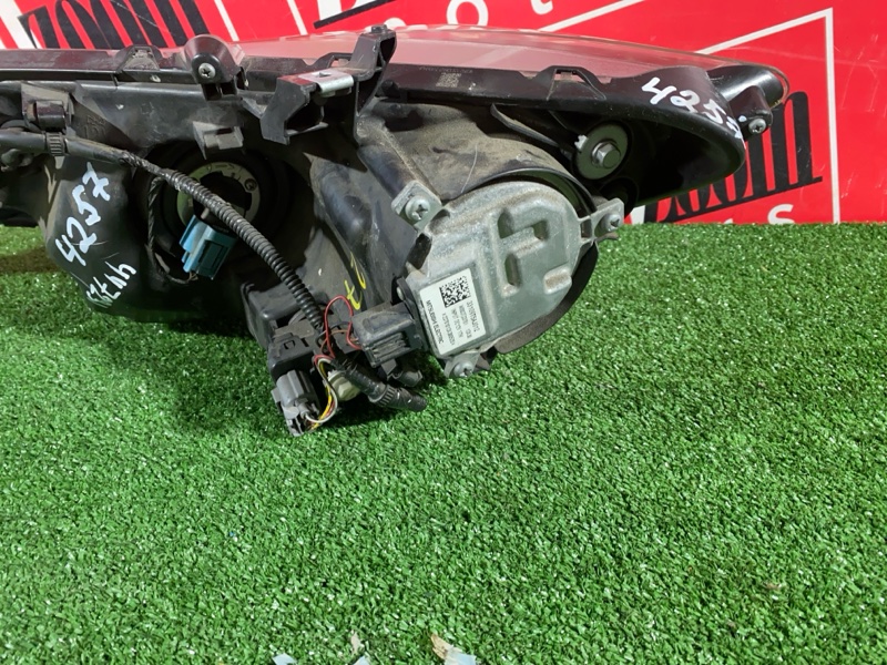 Фара, 17100 рублей, Солонцы