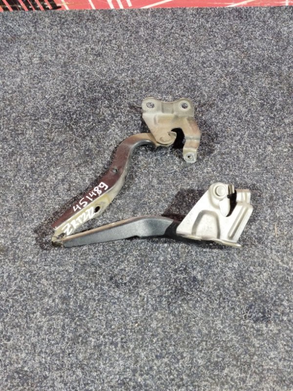 Петля (Шарнир капота), 3800 рублей, Солонцы