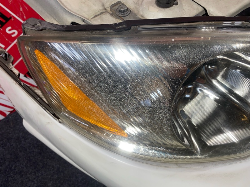 Nose cut, 33000 рублей, Солонцы