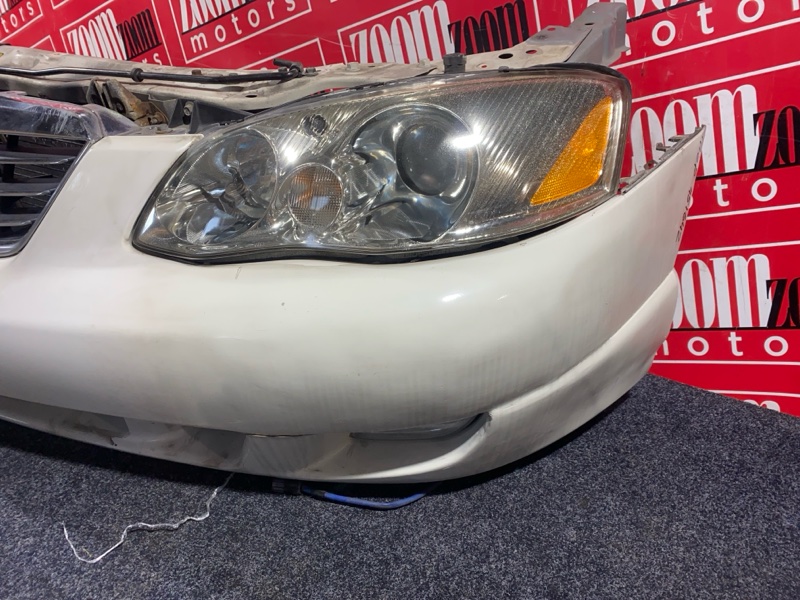 Nose cut, 33000 рублей, Солонцы