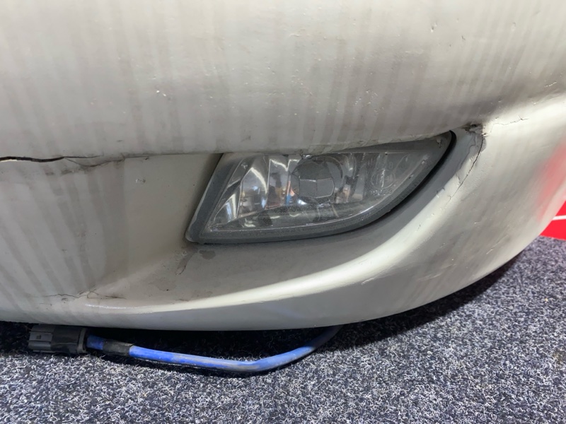 Nose cut, 33000 рублей, Солонцы