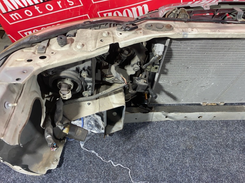 Nose cut, 33000 рублей, Солонцы