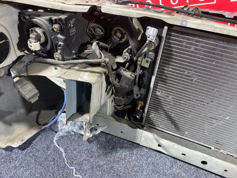 Nose cut, 33000 рублей, Солонцы