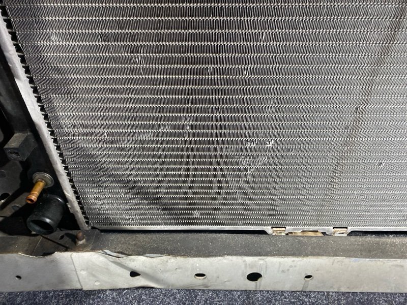 Nose cut, 33000 рублей, Солонцы