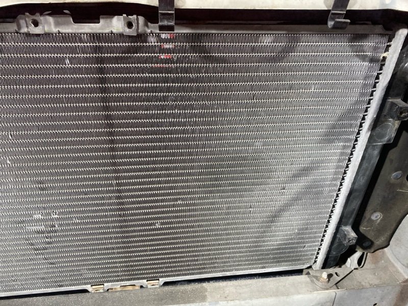 Nose cut, 33000 рублей, Солонцы