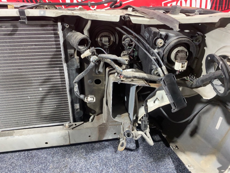 Nose cut, 33000 рублей, Солонцы