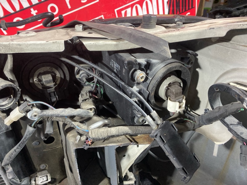 Nose cut, 33000 рублей, Солонцы