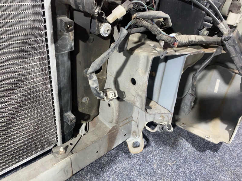 Nose cut, 33000 рублей, Солонцы